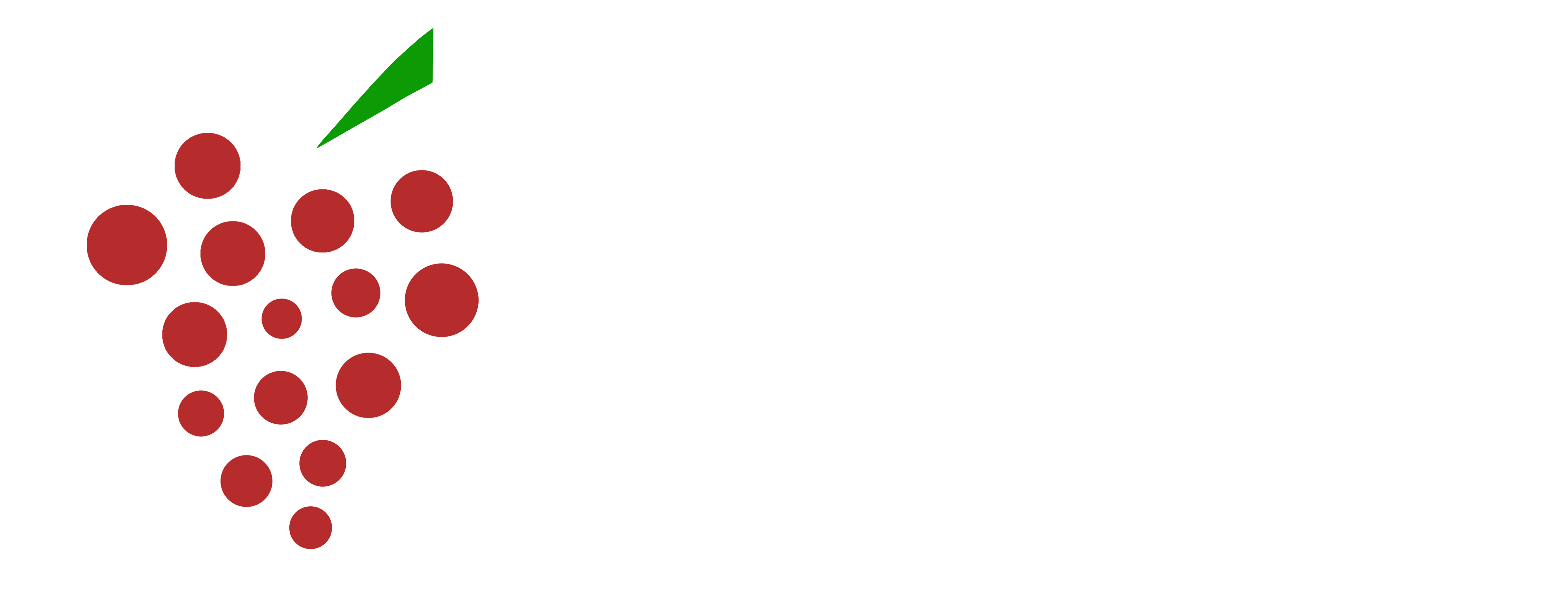 New Vine Youth
